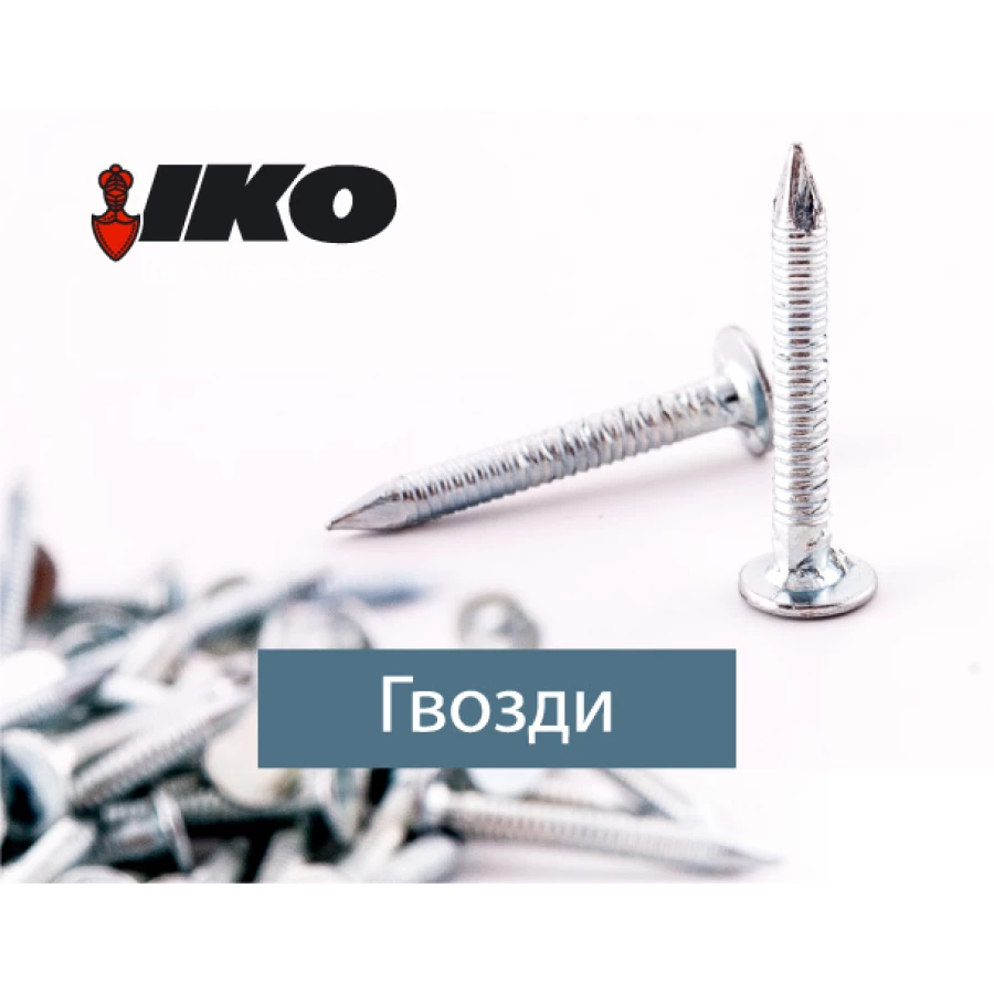 Гвоздь кровельная кольцевая 3.1 x 30 К б/ц 1кг (уп 5 кг)