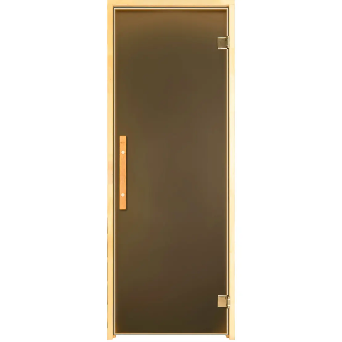 Двері для лазні та сауни Tesli Steel Magnetic 1900х700