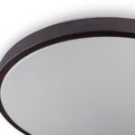 RING матовий 80W 480*60мм 3000К-6500К з ДК бронзовий